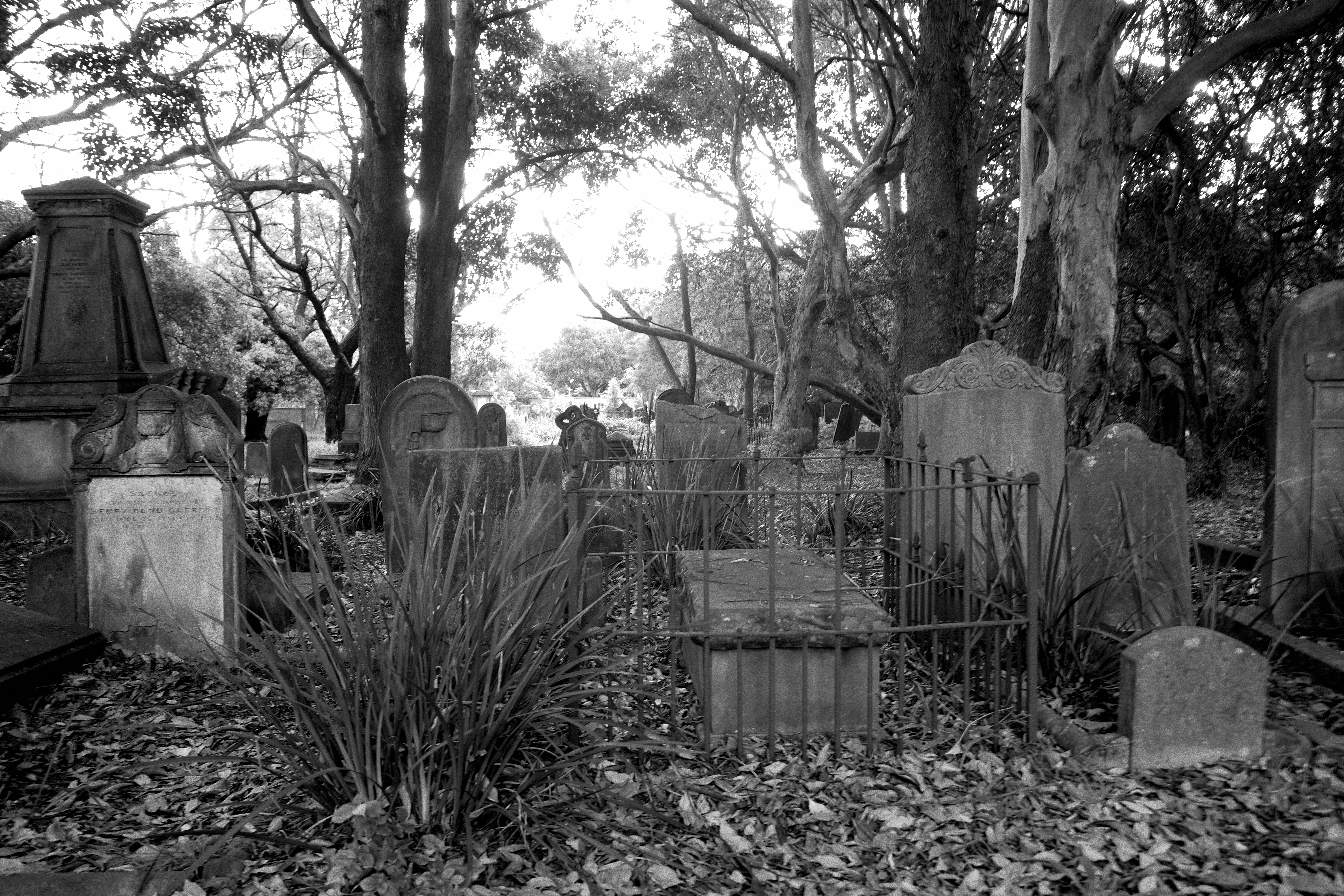 graveyard-2
